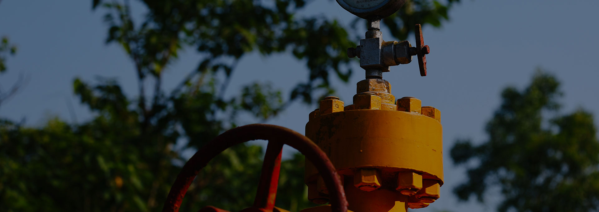 Wellhead Tools & Accessories
